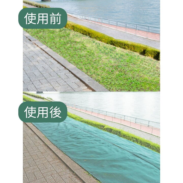 楽天市場】【公式】 防草メッシュ 1mx50m モスグリーン 根を残し地面を 