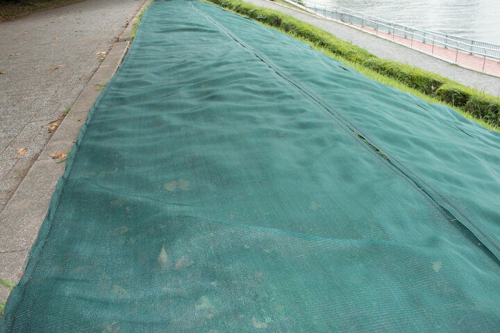 楽天市場】【公式】 防草メッシュ 1mx50m モスグリーン 根を残し地面を 
