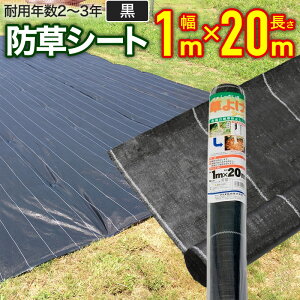 hV[g  1mx20m ϗpN2`3N 悯V[g G΍ y oϓI GV[g V[g RXgጸ ȗ͉  ʘH Z ؉ Vxn n |p _Ɨp Hp lHŗp Z 