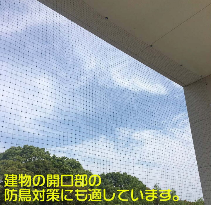 楽天市場 防鳥 ネット 鳥よけ 黒 12mm目 2mx100m 広幅 長巻 軽々バードネット 目立たず軽量 取り付け場所を選ばない 屋根 軒下 工場 倉庫 車庫 菜園 池 養魚場 住宅 スズメ ツバメ ハト ヒヨドリ カラス サギ対策 カットしてもほつれない ロール 代引き不可 ダイオe 楽天市場 防鳥 ネット 鳥よけ 黒 12mm目 2mx100m 広幅 長巻 軽々バードネット 目立たず軽量 取り付け場所を選ばない 屋根 軒下 工場 倉庫 車庫 菜園 池 養魚場 住宅 スズメ ツバメ ハト ヒヨドリ カラス サギ対策 カットしてもほつれない ロール 代引き不可 ダイオe
