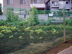 yz lbg hb Qb h ΍ 悯 Aj}K[hlbg  16mm 1.5mx50m^kL C^` nNrV Lcl ACO} L ̖hbEQb΍h΍ ACK_