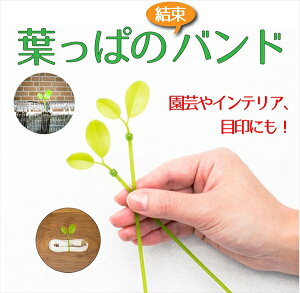 yz tς̃oh  155mm 10{ P[uȂǂ̌ [ڈ | CeA GNXeA yΏۊOz y_CIuhz