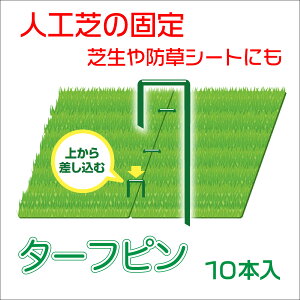 yz s lHŗp ł ^[ts  15cm Ő lH ݒu Œ A hV[gɂ 10{ \ y_CIuhz