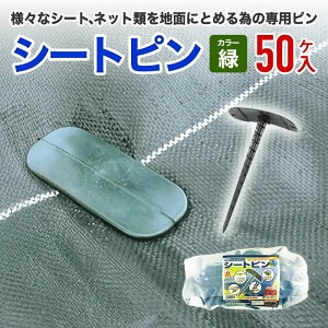 yz V[gݒup _CIV[gs 50  hV[g 悯V[g ׂsDz hlbg т̑V[glbgނnʂɂŒ肷s ɗ΂̃V[gɂ