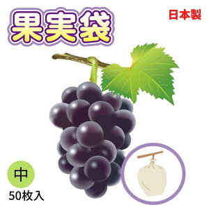 yz ʎ Ԃǂpij 19cmx28.5cm 50 ꂠ t ʎ̑܊| ʎ Y ی h Q a ΍ zʒ  uhEyΏہz y_CIuhz