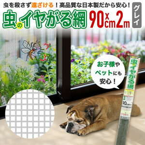 yz Ԍ  h _CI ̃C i { 90cmx2m OC ܓ Ԍ˒ւph hlbg ܂葱Ȃ ʖ5`7N C i{Ԍ˗ph