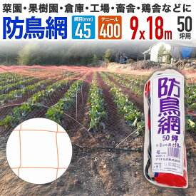 【公式】 防鳥網 鳥よけ 400D 45mm菱目 50坪 農業用鳥よけ 水稲 果樹園 菜園 豚舎 牛舎 厩舎 管理釣り場 釣り堀 養魚場 工場 公園などの鳥対策 鶏舎の鳥インフルエンザ対策 ハト カラス カモ カワウ ムクドリ サギ対策【代引き対象】 【ダイオブランド】