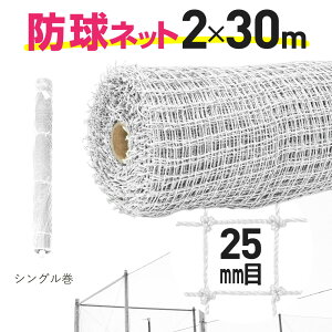 yz hlbg 25mm 2mx30m  L₷VO[ St 싅 e틅Z vȃlbg Ogp |LStlbg ȈՃtFXA|AngAJX悯 hbAH