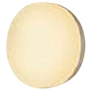 �p�i�\�j�b�N(Panasonic) LED�u���P�b�g2700K�h���E�h�J�^ NNN14000LE1