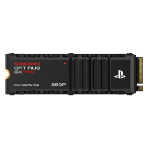 SANDISK Optimus GX Pro 850P NVMe 1TB M2 SDSG81100TAH-000E0 �u���b�N