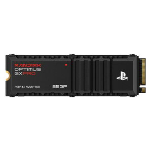 SANDISK Optimus GX Pro 850P NVMe 4TB M2 SDSG81400TAH-000E0 4.0TB