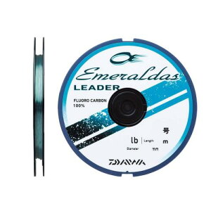 �_�C��(DAIWA) �t�������C�� �G�������_�X���[�_�[ 2�� 35m �i�`�������O���[��