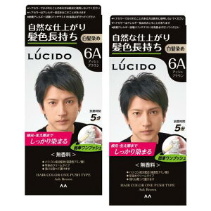 LUCIDO(V[h) ܂ƂߔvbVPAJ[(򕔊Oi) Yp V[gwA4   AbVuE Zbg 2 (x 1)