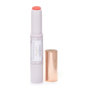 LCN XeCIo[[W02 X}C[K[x 2.7g