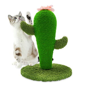 AUSCAT L܂Ƃ|[ L߂Ƃ XNb`|[ T{e^ CeA     cu^ ^sXgX VRTCU gݗĊȒP