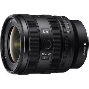 SONY(\j[) LpY[Y tTCY FE 16-25 mm F2.8 G GY fW^J[E}Eg]p Y SEL1625G