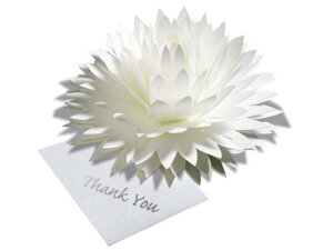 炭悤ɂЂ炭 Ԃ̃TL[J[h foro[Xf[J[hEEFfBOEAjo[T[EwEƁE̓ENX}XJ[hEO[eBOJ[h (6zCg_A)