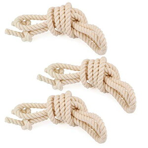 XsMA ܂Ђ 3{Zbg (:5.5mm ؐƊy)