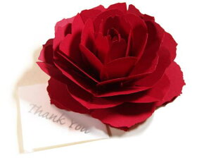 qbh-[Yr炭悤ɂЂ炭 Ԃ̃TL[J[h foro[Xf[J[hEEFfBOEAjo[T[EwEƁE̓EjENX}XJ[hEO[eBOJ[h