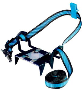 xg yAC[7 SEVEN(Xm[K[hAohEP[Xt) BS-011
