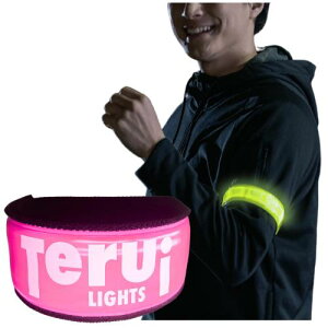 TERUI Lights Osaka  jO Cg LED  A[oh oh h WMO EH[LO ] ˔ r ˃^XL U tN^[  }\ u ˃oh (sN)