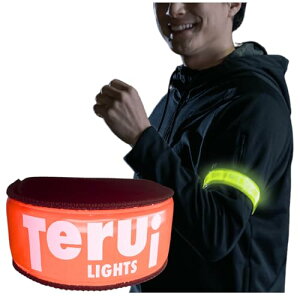 TERUI Lights Osaka  jO Cg LED  A[oh oh h WMO EH[LO ] ˔ r ˃^XL U tN^[  }\ u ˃oh (IW