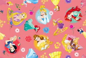 ヤクセル 持ち運びに便利な透明袋付き レジャーシート 1~2人用 Sサイズ 約60×90cm 日本製 ピクニック レジャー 遠足 ディズニー プリンセス 13410