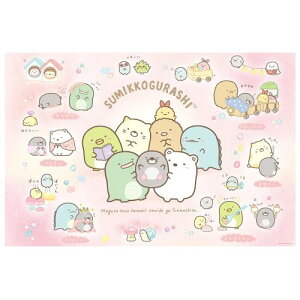 XP[^[(Skater) qp W[V[g  STCY 60×90cmTCY ݂R炵 ̂ TI VS1-A