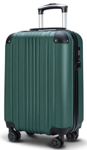 [Bargiotti] ABS�X�[�c�P�[�X �L�����[�o�b�O �L�����[�P�[�X ��e�� ���y�� TSA���b�N �_�u���L���X�^�[ �É� ���s �r�W�l�X�c (�O���[��, Small)