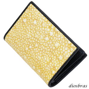 J[h h  pXP[X Y fB[X pX Ƌؓ {v X^[ GCv ~Ԕ 炬 CoGC JbgXeBOC GCv J[hP[X h |