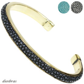 バングル シルバーアクセサリー ガルーシャ 鏡面 スティングレイ エイ革 スティングレー シンプルデザイン 　グリーン　ブラック メンズ シルバーバングル ブレスレット シルバー925 クロス 十字架 メンズアクセサリー プレゼントに人気 送料無料