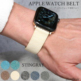 アップルウォッチ6 SE 5 4 3 全シリーズ対応 44mm 42mm 38mm 40mm 専用 apple watch 腕時計 Dバックル 時計 スティングレイ エイ革 ガルーシャ スティングレー バンド ベルト 尾錠 バックル ブラック シルバー ゴールド 黒 銀 金 時計ストラップ 交換 尾錠 単品