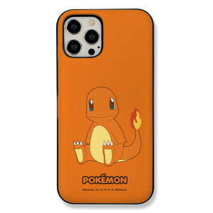 iPhoneSE3 iPhone 16e 16 15 14 Plus Pro Max 13 12 11 w 2d\ ی J[h[ |P X}zP[X iPhone16 iPhone15 iPhone14 iPhone13 mini iPhone12 iPhone11 ؍ LN^[ sJ`E tVM_l JrS 