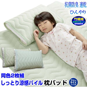 X[p[Z[ SALE 40%OFF yyz ڐG⊴ Jo[ 43×63cm Ђ薍pbhVR|ō@ Ђ^In pbhF2g 43×63cmpN[Q ЂQ  Jo[