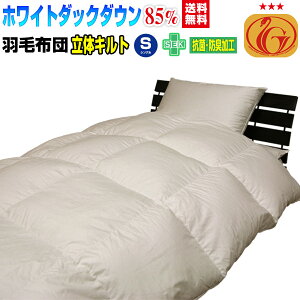 Hѕzc VO HтӂƂ { _E85 HѕzczCg_bN_EVO 150×210cmj[S[hx 120mm̃Lgyz