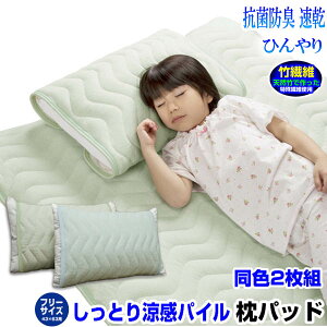 yyz ڐG⊴ Jo[ 43×63cm Ђ薍pbhVR|ō@ Ђ^In pbhF2g 43×63cmpN[Q ЂQ  Jo[Ђ sP[X ⊴ 