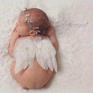 xr[ VgϐgZbg Vg̉H zCg [toh Ԃ Vg H j[{[tHg QA[g L^ xr[tHg LOʐ^ LO