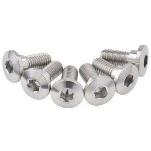 ZETA �`�^�� �u���[�L�f�B�X�N�{���g �V���w�b�h ��10 M8×20mm ZT10-3741 �_�[�g�t���[�N DIRTFREAK �i��:D6944/���[�J�[�i��:ZT31-3746