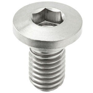 ZETA �`�^�� �u���[�L�f�B�X�N�{���g �V���w�b�h��10 M8×14.5mm ZT10-3721