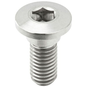 ZETA �`�^�� �u���[�L�f�B�X�N�{���g �V���w�b�h ��10 M8×20mm ZT10-3741