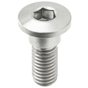 ZETA �`�^�� �u���[�L�f�B�X�N�{���g �V���w�b�h ��10 M8×22mm ZT10-3761