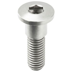 ZETA �`�^�� �u���[�L�f�B�X�N�{���g �V���w�b�h ��10 M8×28mm ZT10-3781