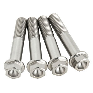 ZETA �`�^�� �I�t���[�h�ԗp�{���g�L�b�g �t�����W M8 45mm 4�{���� �ėp D6987(���i��:ZT83-2454)