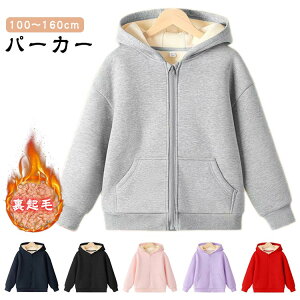 N p[J[ {A ̎q j̎q  AE^[  t[fB[ gbvX H ~ n  WbvAbvp[J[ 傫TCY t[ht XEFbg 킢  t[h {