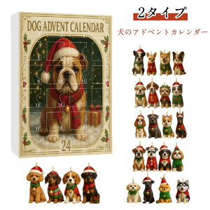 ̃AhxgJ_[ AN ̑ ̃AhxgJ_[ 24Ԃ̌̃NX}Xi