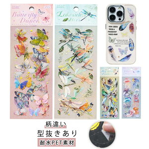 V[  R[WV[g^ V[V[gV[t[N DIY ̎q R[Wf V[ R[W Zbg PET fރV[g WNW[i fUCy[p[ t[ V[