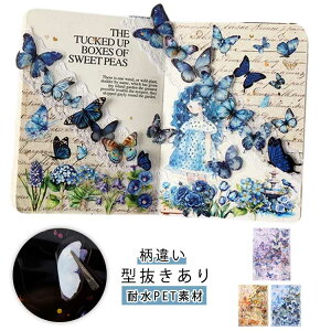 V[ ^ R[W f V[V[g t[N e ̎q lߍ킹 킢 蒠 fR  m[g 蒠 L  Zbg PET R[Wf Be[W V[ ub