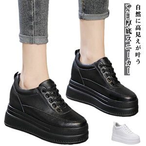  fB[X V[Y Xj[J[ ʊw V[NbgV[Y  ɂ y bV ₷ C rXj[J[ zCgXj[J[ gAbv PUU[  