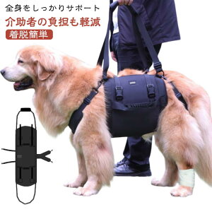  ^  オxg  n[lX 둫 s⏕ n[lX n[lX xg ^ ^  ^  xg V  p SgT|[g ⏕ AVX^