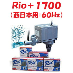 J~n^ Rio+1700 ({p:60Hz) |v IvX p